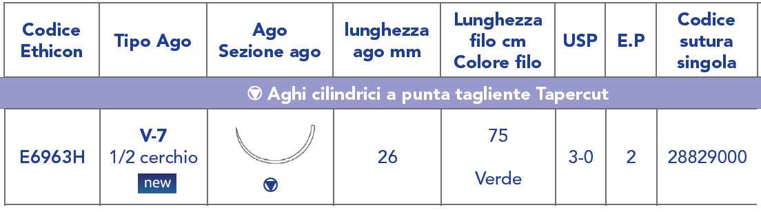 E6963H /