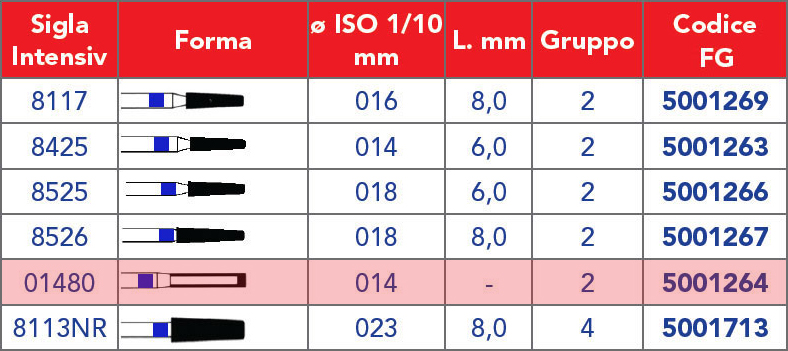 INTENSIV /