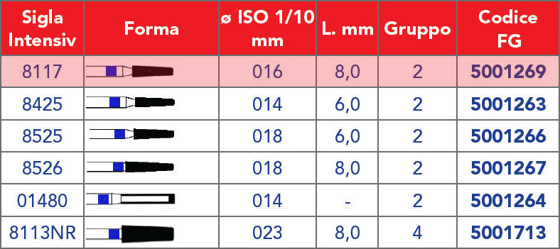 INTENSIV /